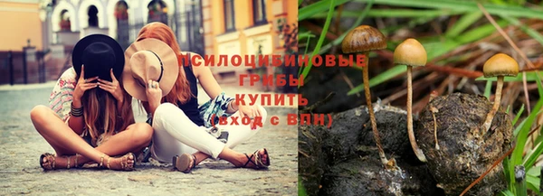 соль ск Абинск